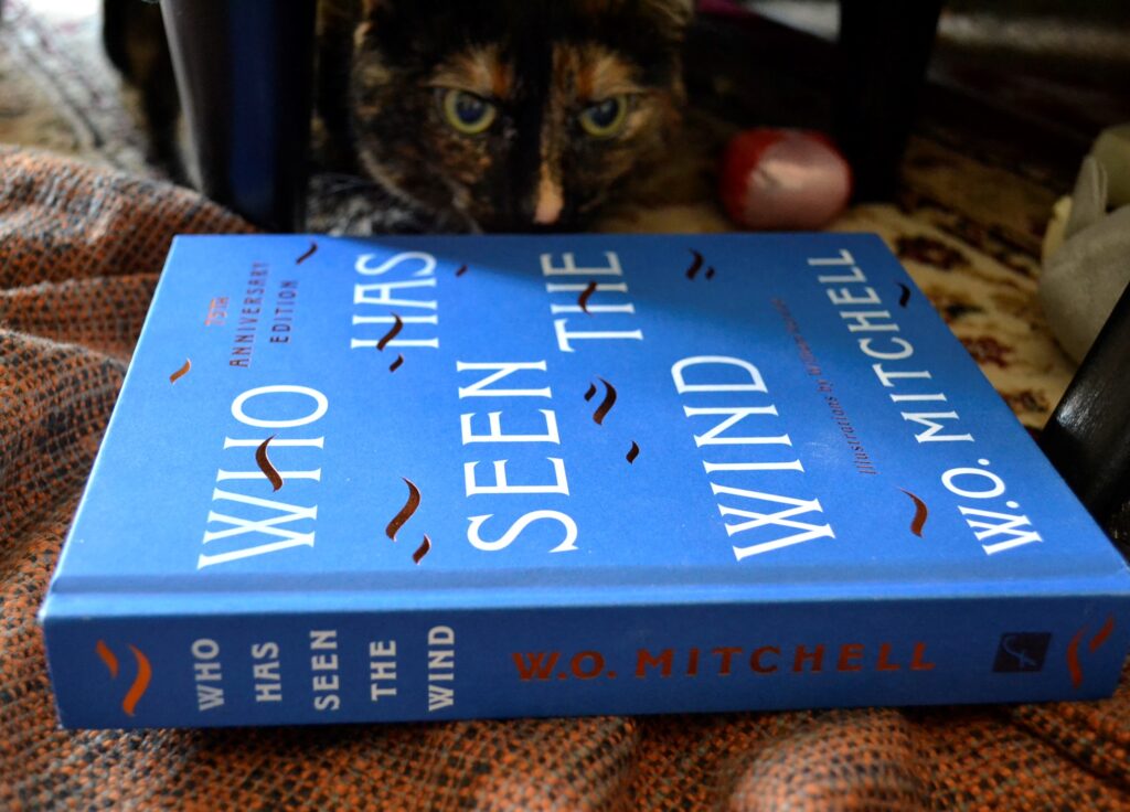 A tortie peers over the edge of a blue book: Who Has Seen the Wind by WO Mitchell.