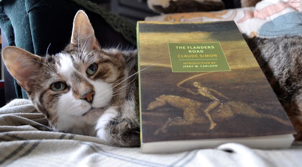 A tabby cat curls beneath a book (The Flanders Road) and looks up at the camera.