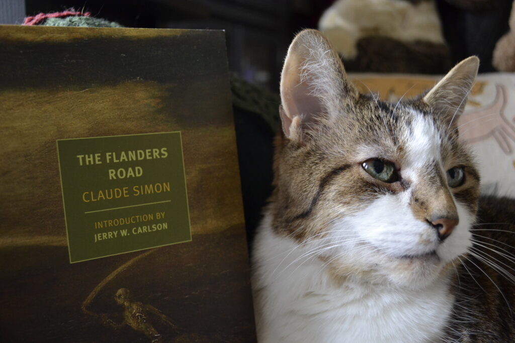 A tabby cat with a brown nose and big ears sits beside a green book: The Flanders Road by Claude Simon.