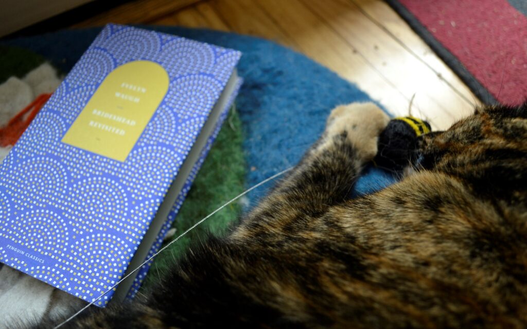 A tortie chew a toy bee beside a blue book.