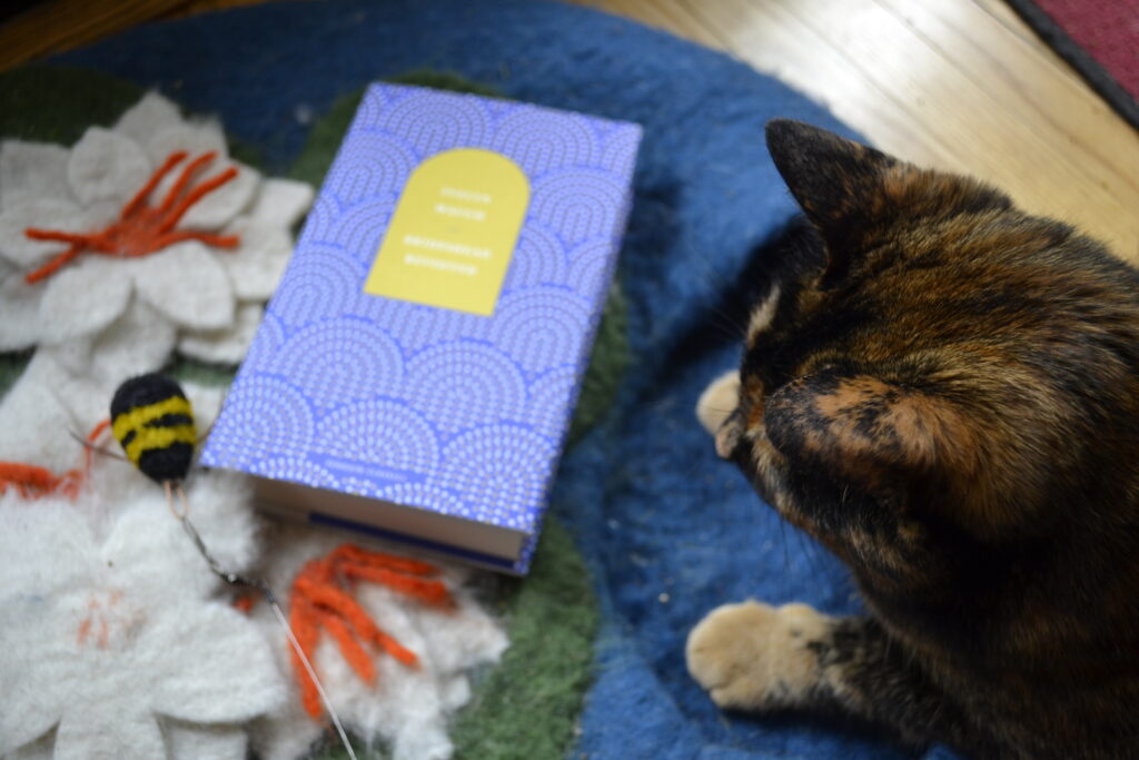 A tortie plays with a bee toy around the edges of Brideshead Revisited.