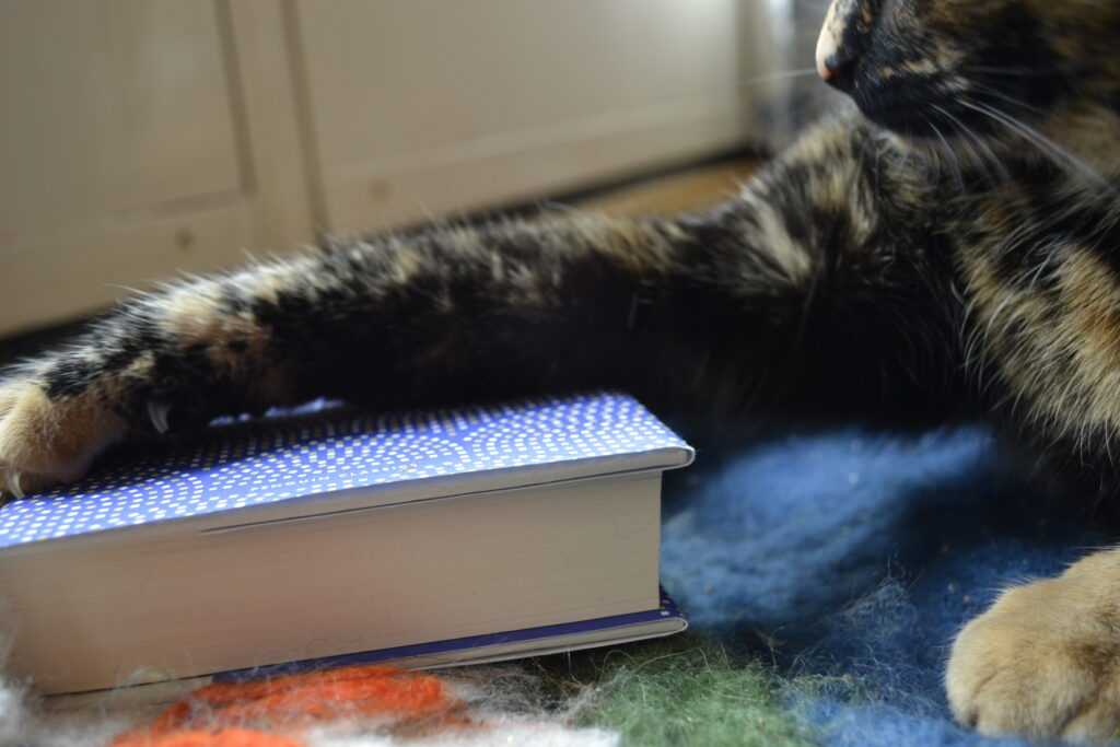 A tortoiseshell cat extends a paw over the cover of a book.