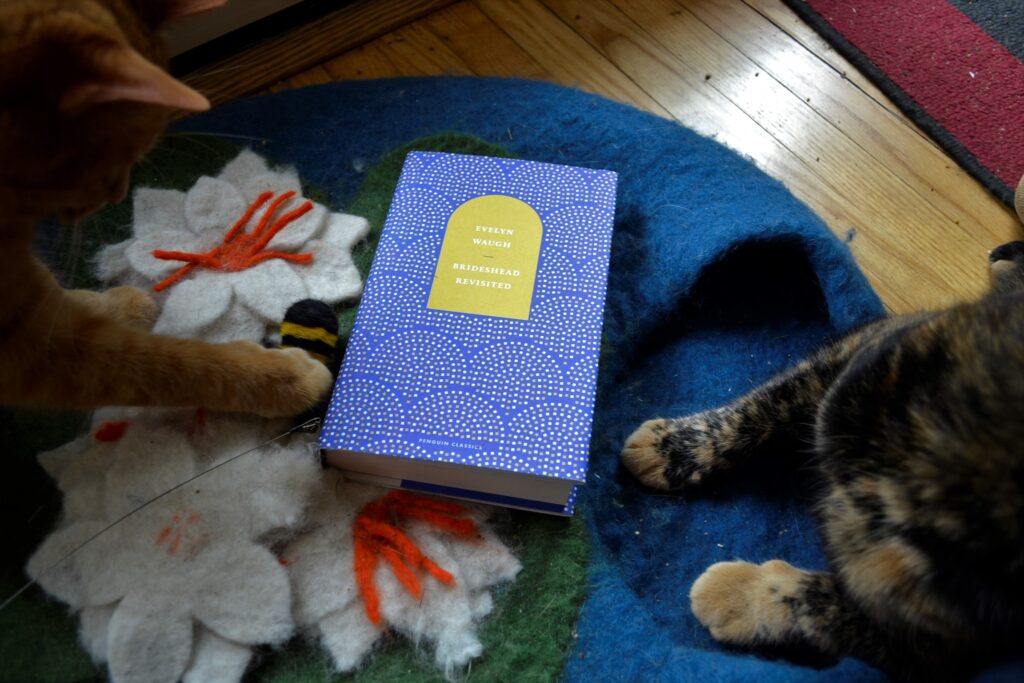 An orange cat and a torties sit on either side of Brideshead Revisited by Evelyn Waugh.