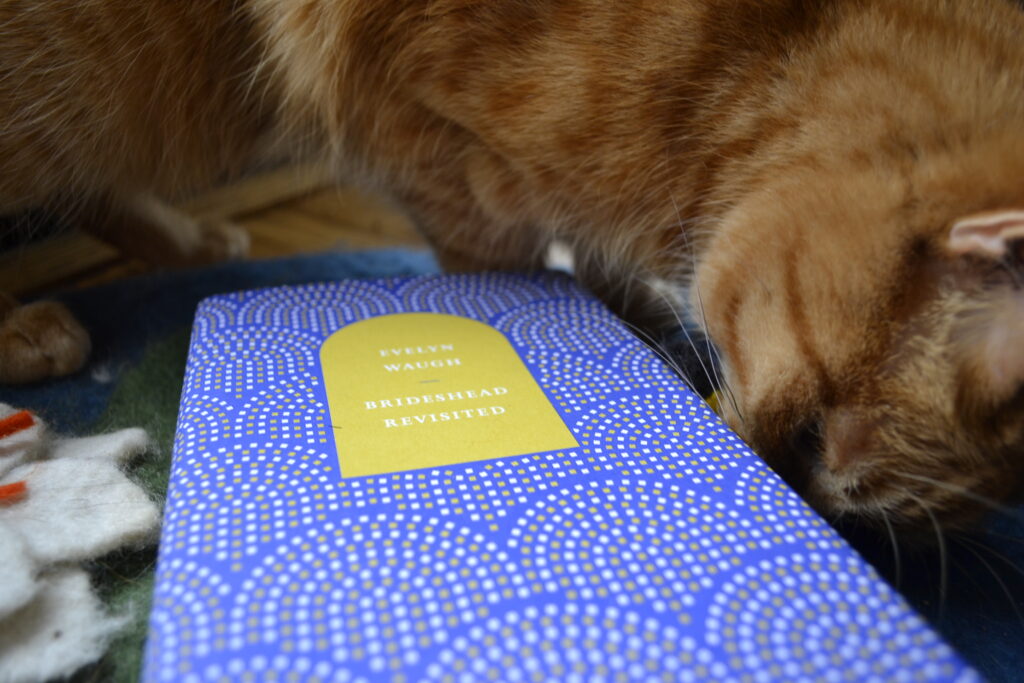 An orange tabby sniffs a blue book with a repeating pattern of arches in orange and white dots.