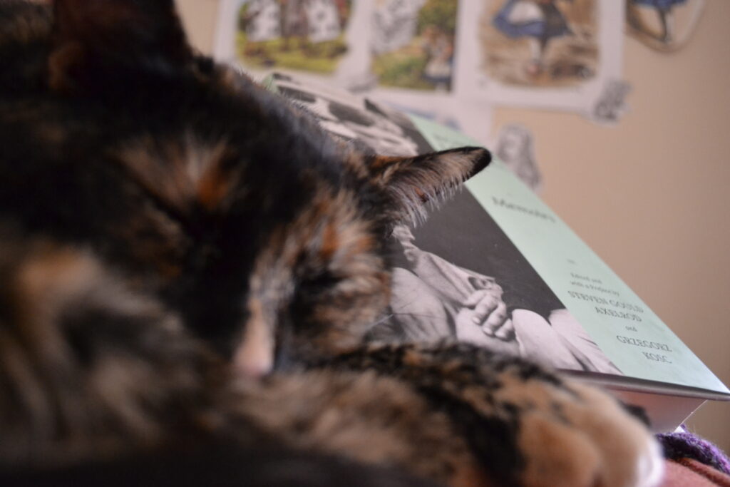 A tortoiseshell cat sleeps with its chin resting on its paws. A book is visible behind her.