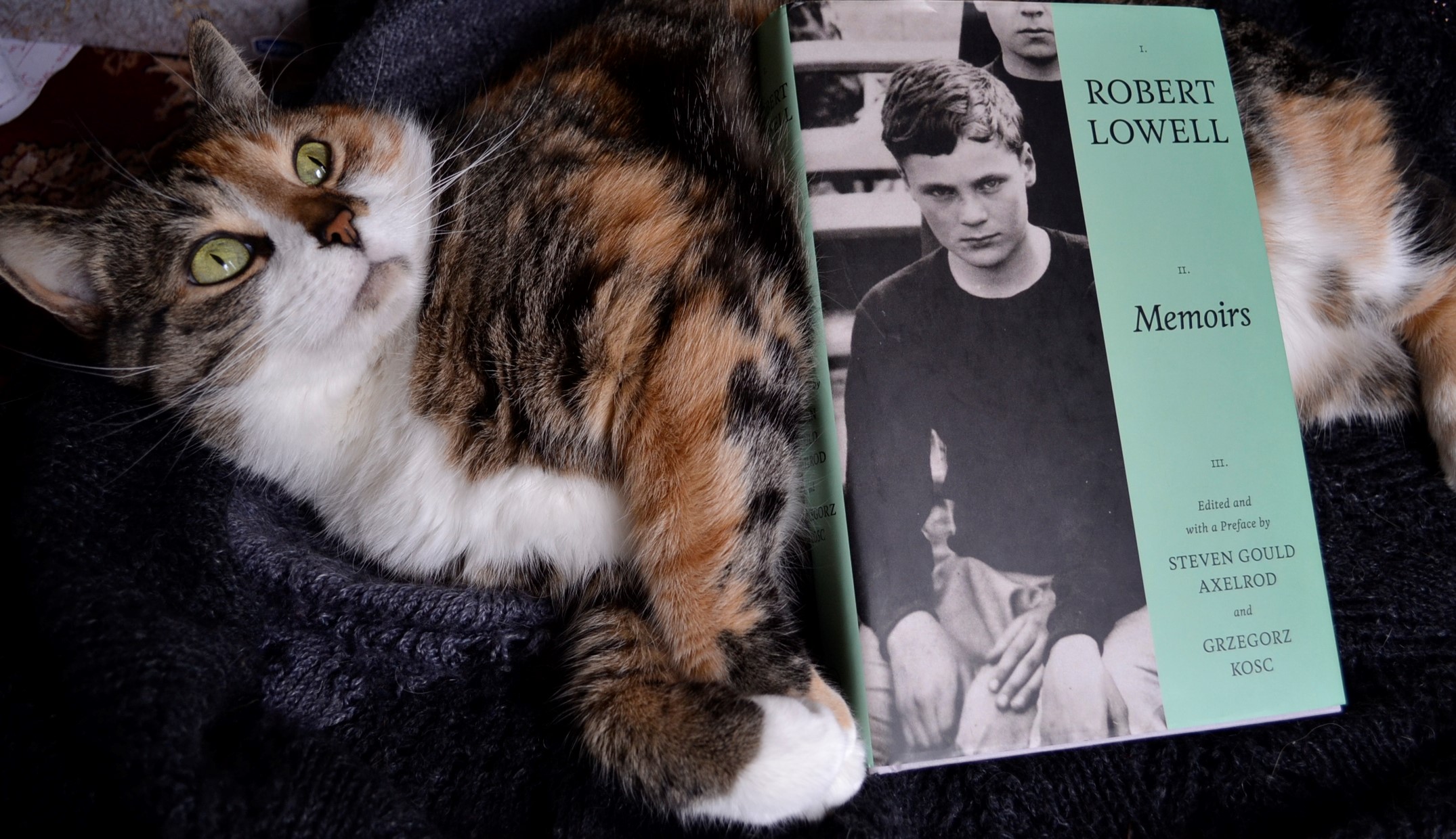A calico tabby looks weirdly upwards. Robert Lowell's Memoirs lies on her stomach beside curled paws.