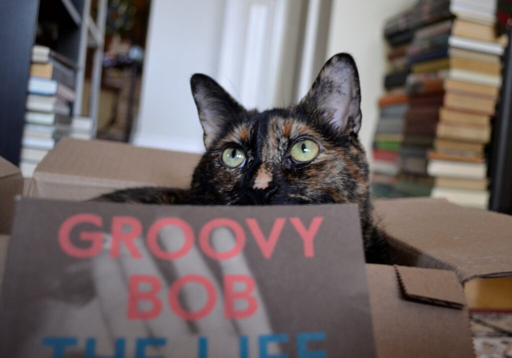 Over the top edge of a book, a tortie looks upward, innocently.