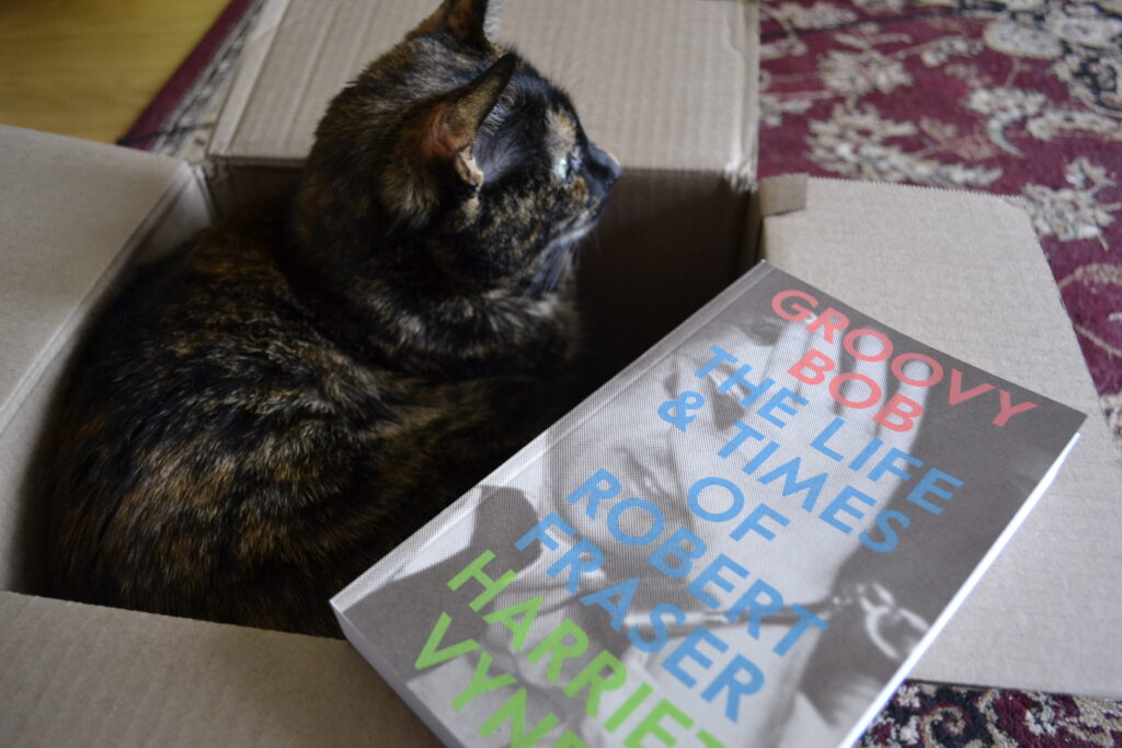 A tortie sits in a cardboard box and stares off into the the distance. A book sits with her.