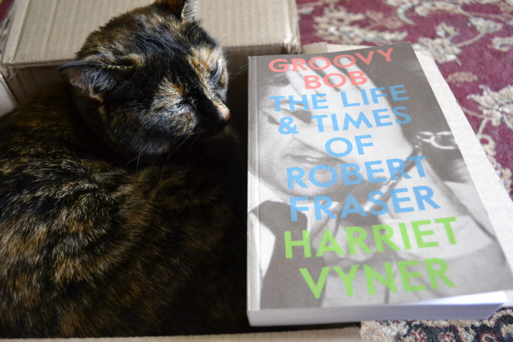 Groovy Bob by Harriet Vyner sits on the edge of a cardboard box beside a sleepy tortie.