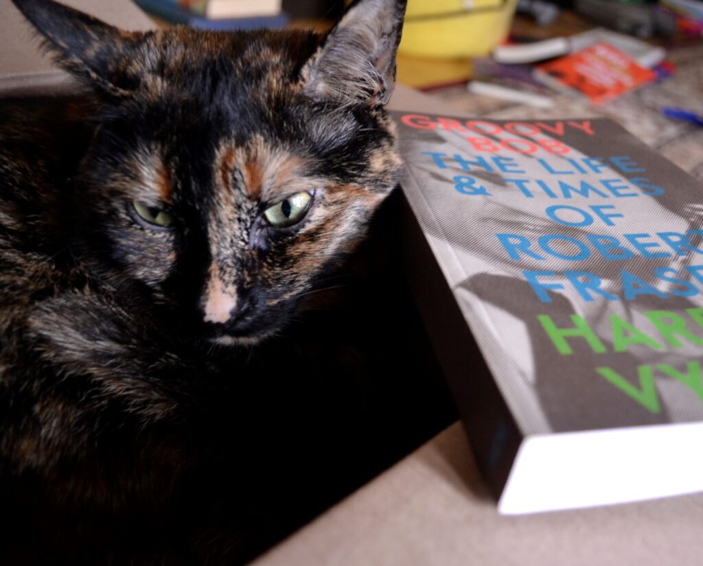 A tortie puts her ears back against the spine of a book while sitting in a box.
