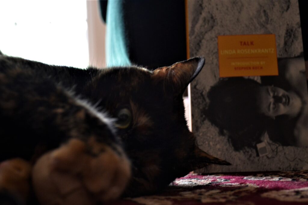 A tortie plays with a stuffed acorn beside Talk by Linda Rosenkrantz.