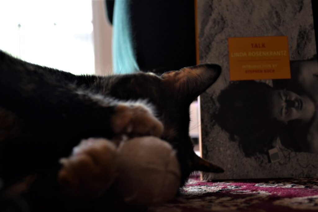 A tortie lies across from a book. The book has a woman lying on the beach on the cover, and the tortie is lying the same way.