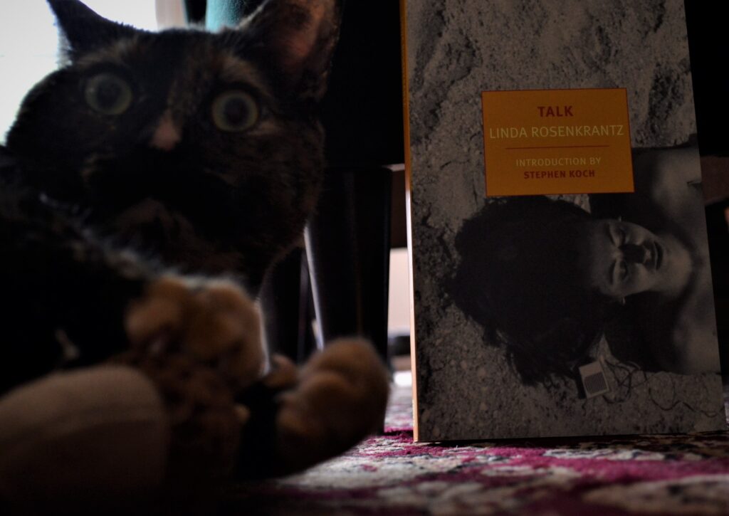 A tortie stares with wide perturbed eyes. Beside her is a copy of Talk by Linda Rosenkrantz.