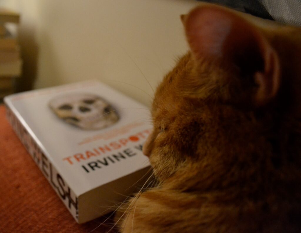 An orange tabby scrunches up its face. Behind it is a white book, Trainspotting by Irvine Welsh.