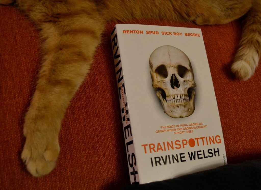 An orange tabby sits above a white book. Her paw stretches down on one side of it and her tail is on the other.