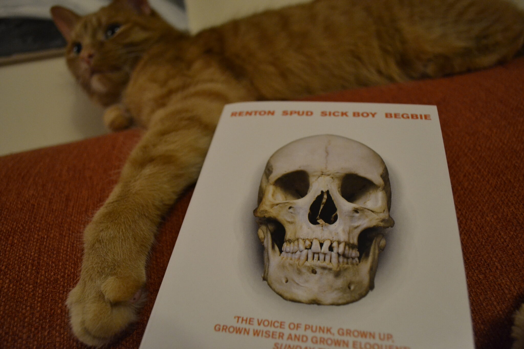 Trainspotting Old Paper & Cats, Reviews by S. Hargrave