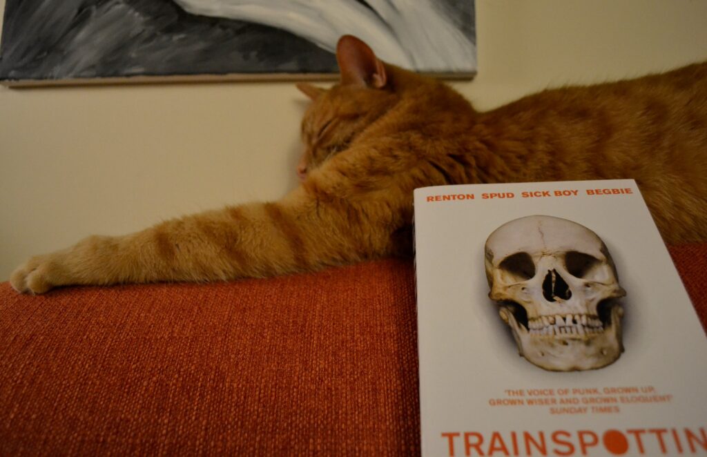 An orange tabby sleeps on top of an orange couch, above a white book with orange text and a skull on the cover.