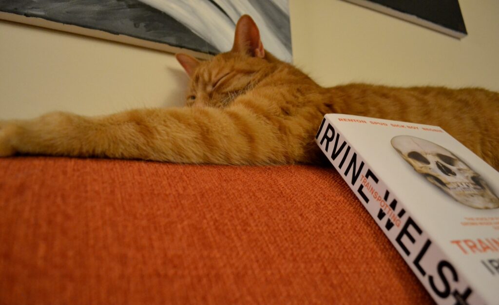 An orange tabby sleeps on an orange couch above Irvine Welsh's Trainspotting.