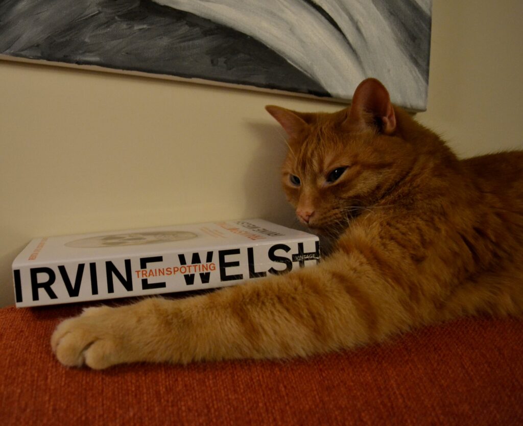 An orange tabby extends a paw along the spine of Irvine Welsh's Trainspotting.