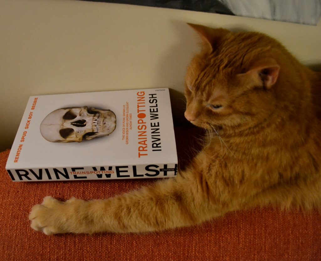An orange tabby reaches her paw out beside a white book with a skull on the cover.
