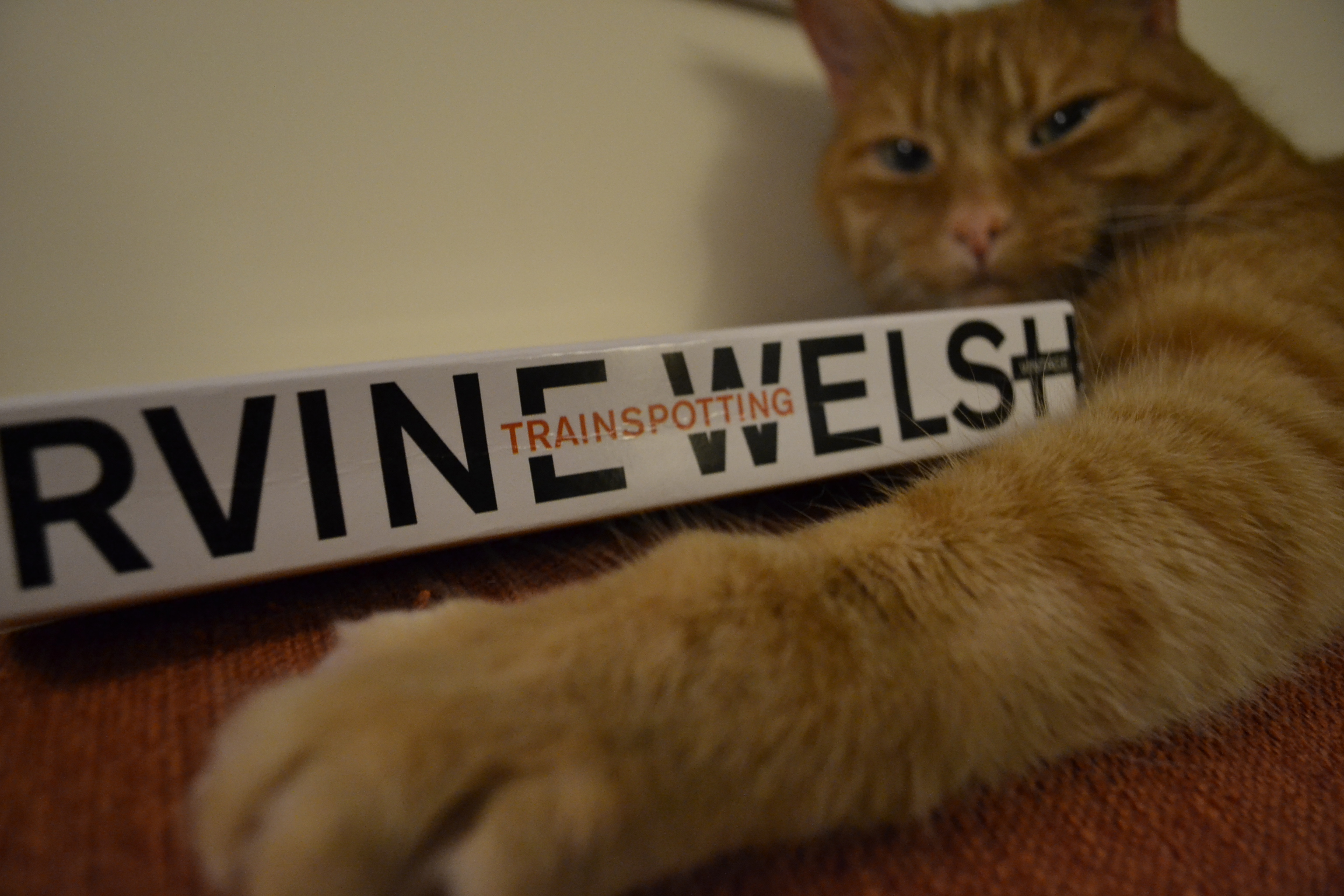 An orange tabby extends a paw along the spine of Irvine Welsh's Trainspotting.