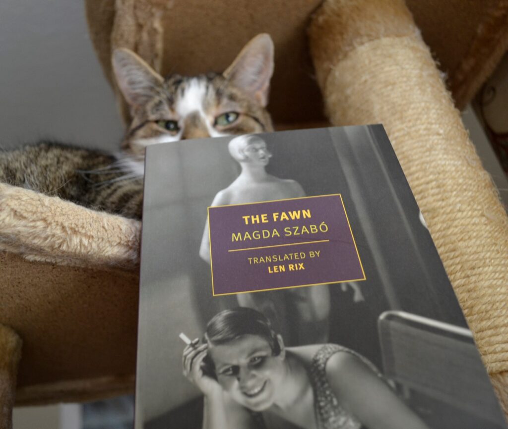 The Fawn's cover has a black-and-white photo of a woman from the 1920s smoking, drinking, and laughing in front of a naked mannequin.