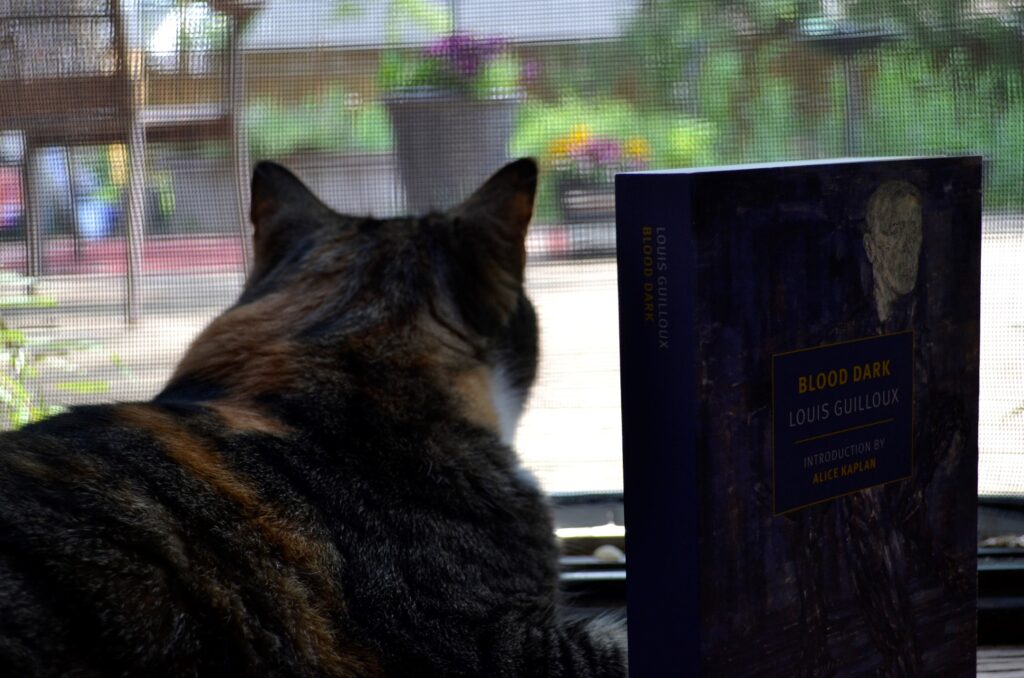 A calico tabby looks through a screen at a porch filled with flower pots. Beside her is a blue book with a cover featuring an impressionistic figure of a blue man.