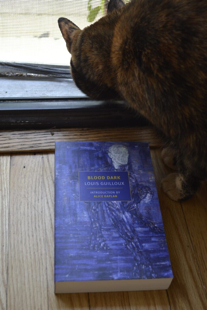 A tortie sniffs a blue book: Blood Dark by Louis Guilloux.