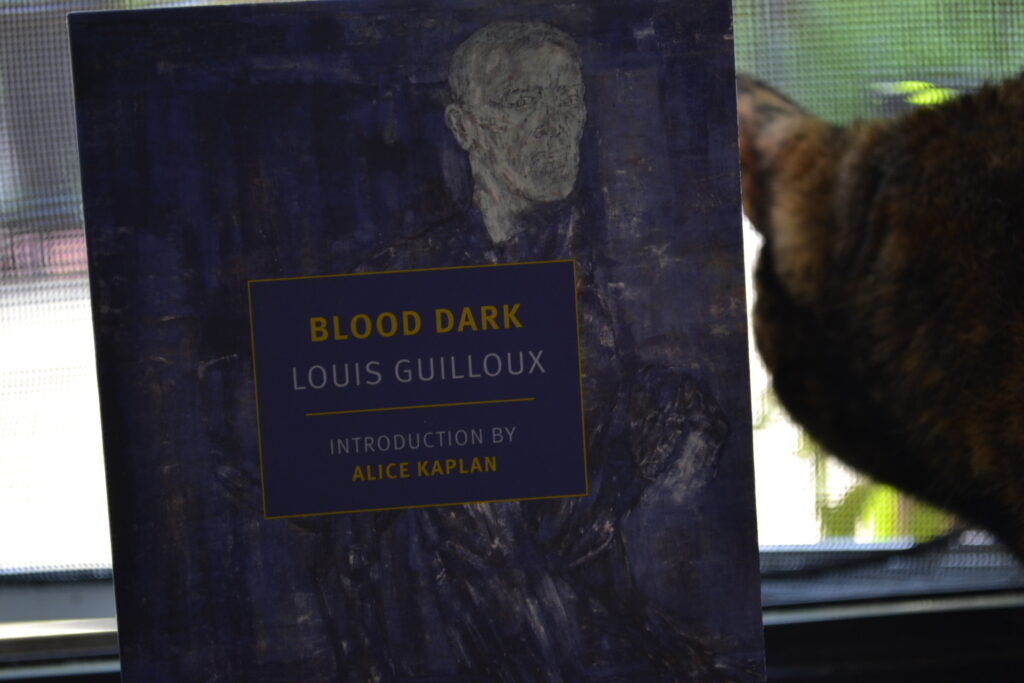 A cat peers through a screen beside Louis Guilloux's Blood Dark.