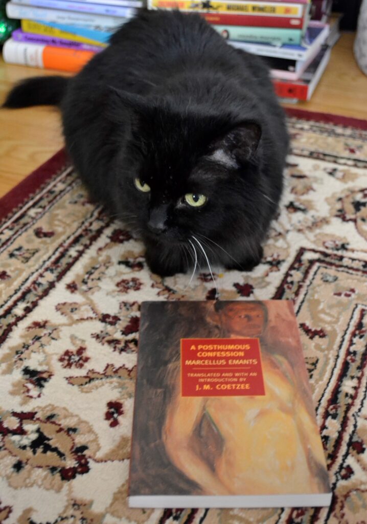 A fluffy black cat sniffs a book with an abstract painting of a naked and angry man on the cover.