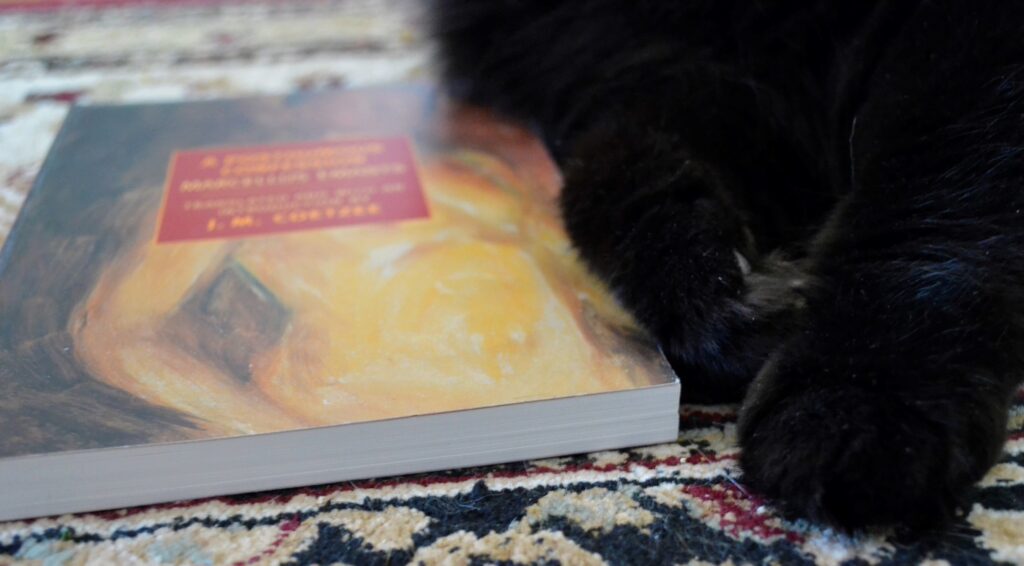 A close-up of black fluffy paws curling up beside the corner of a book. The pages make a straight white line across the frame.