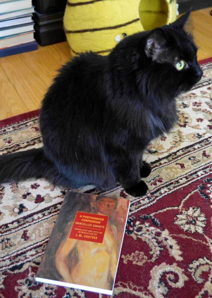 A fluffy black cat sits above a book: A Posthumous Confession. The cover of the book features an abstract painting of a naked and angry man.