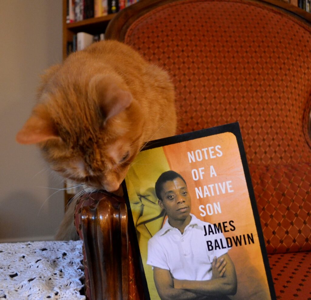 An orange tabby cat happily rubs the corner of a book. The book is Notes of a Native Son.
