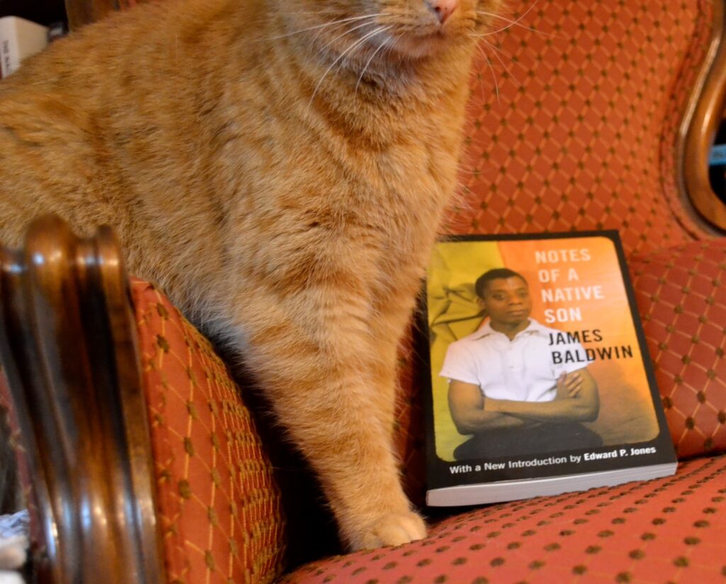 A pair of orange cat paws are primly crossed beside James Baldwin's Notes of a Native Son.