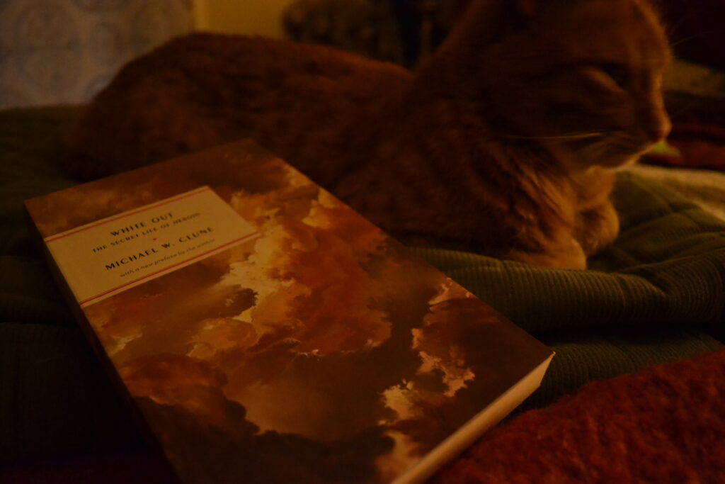In dim, warm lit, a cat sits behind a book. The book is White Out and the cover is painted with billowing, warmly lit clouds.