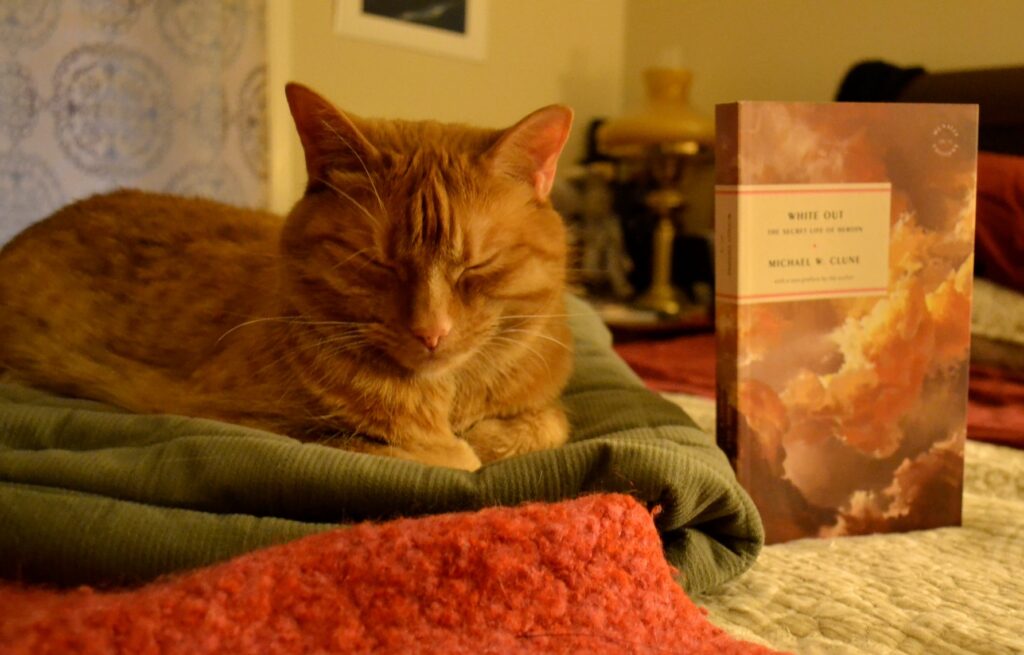 An orange cat closes its eyes and rests beside Michael W Clune's White Out.
