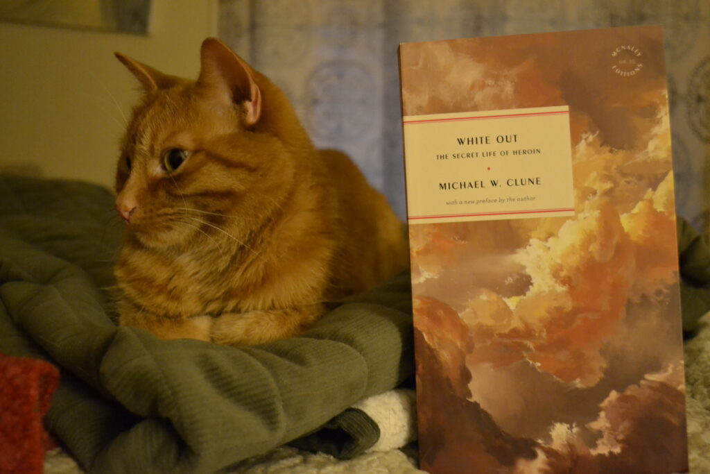 An orange tabby sits beside White Out: The Secret Life of Heroin by Michael W Clune.