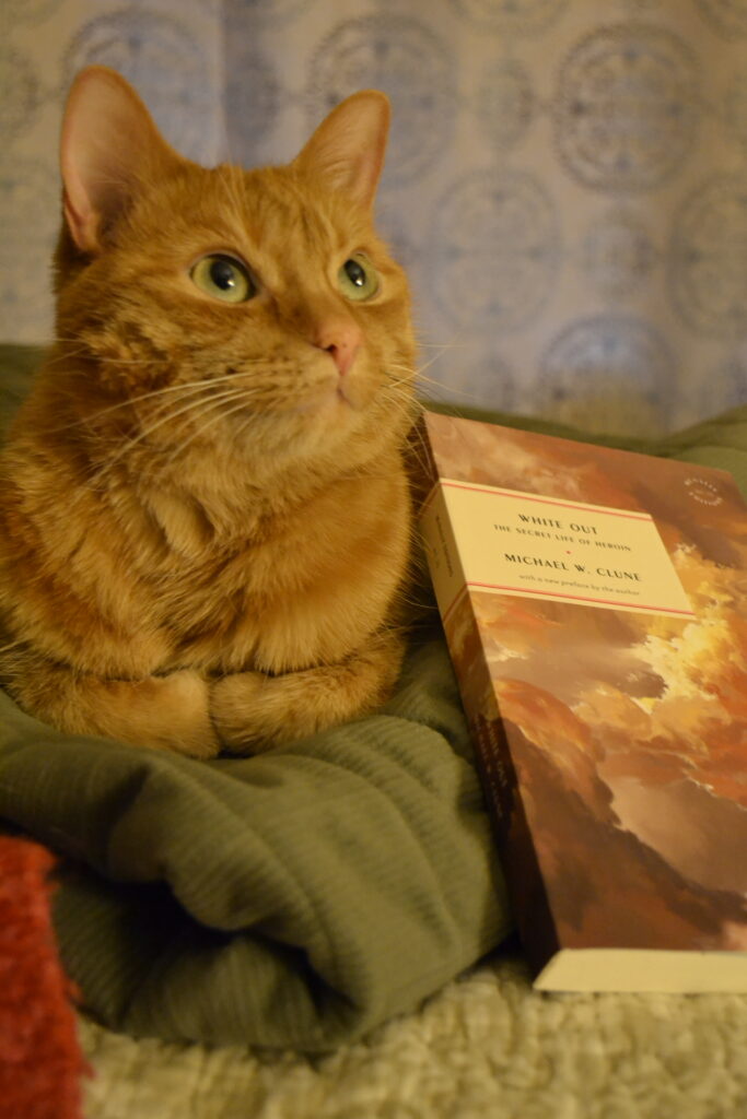 An orange cat looks sweetly up at the sky. The lighting is a pale red-orange, like the pictures of clouds on the cover of the book beside her.