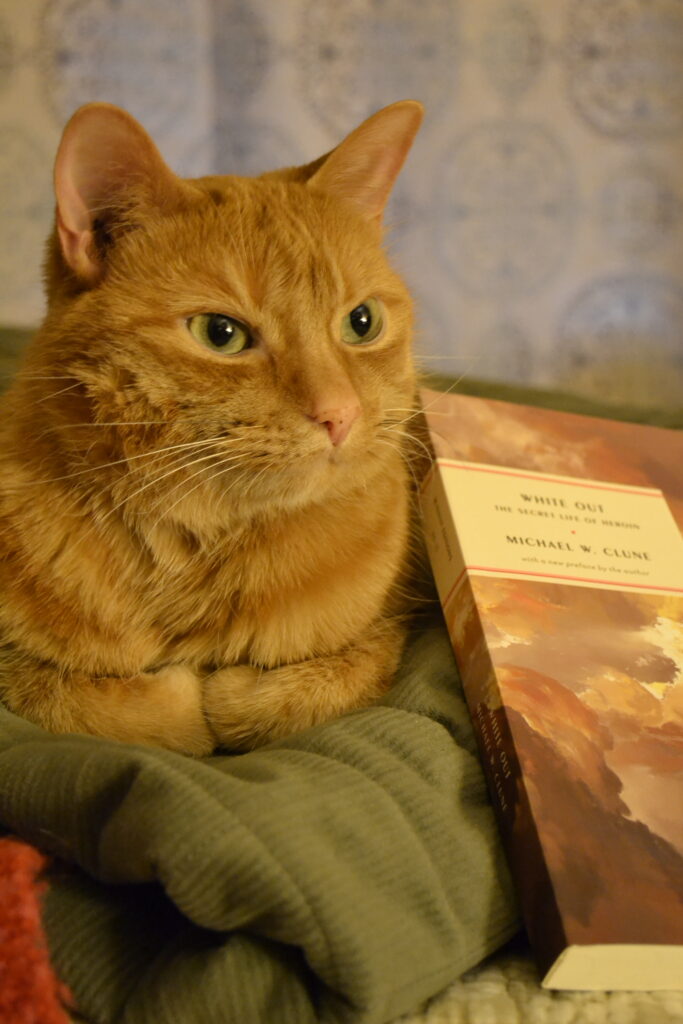 An orange tabby sits with her paws crossed, leaning against White Out.