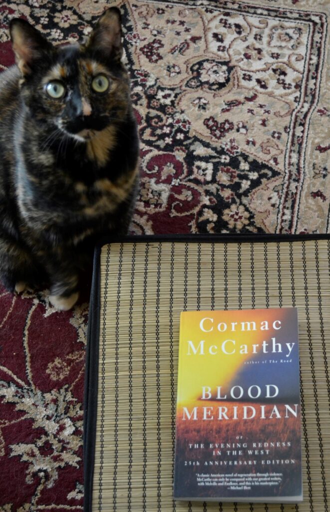A tortie sits behind a reed basket, staring. On top of the basket is Cormac McCarthy's Blood Meridian.