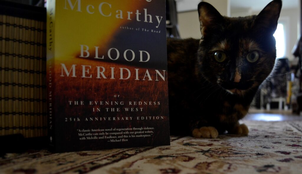 A tortoiseshell cat crouches low behind a book titled: Blood Meridian or The Evening Redness in the West, 25th Anniversary edition.