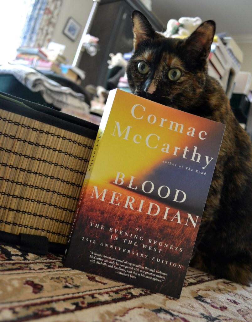 A tortie sniffs the top of a book. The cover shows red-lit grass beneath a violently yellow and cloudy sunset.