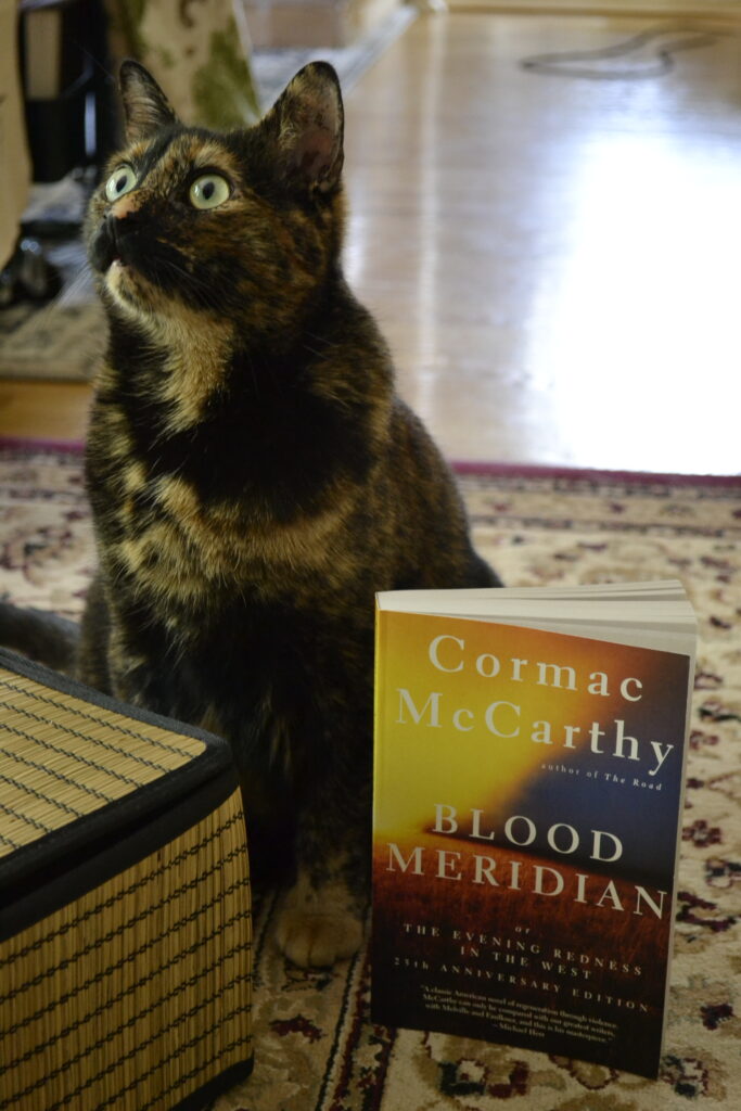 A tortie sits beside a woven reed box and Cormac McCarthy's Blood Meridian.