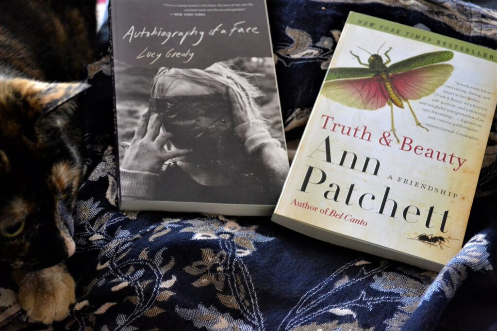 Ann Patchett's Truth & Beauty features a cover with a grasshopper jumping and spreading right pink wings while an ant walks below it.