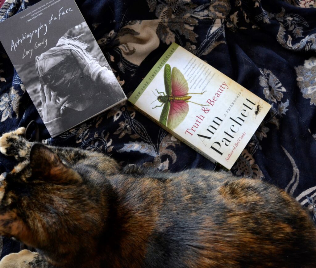 A tortie sits with two books on a blue brocade background.
