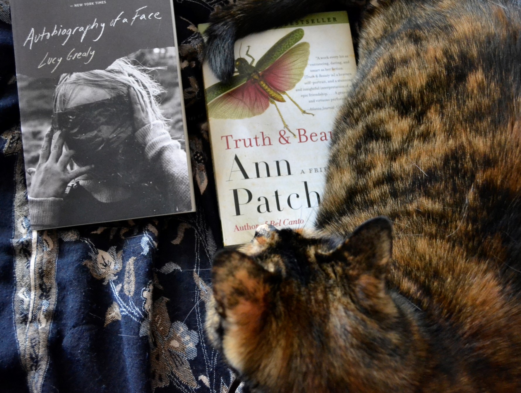 A tortie sits curled around two books: one with a picture of a grasshopper on it and one with a picture of a woman with a covered face.