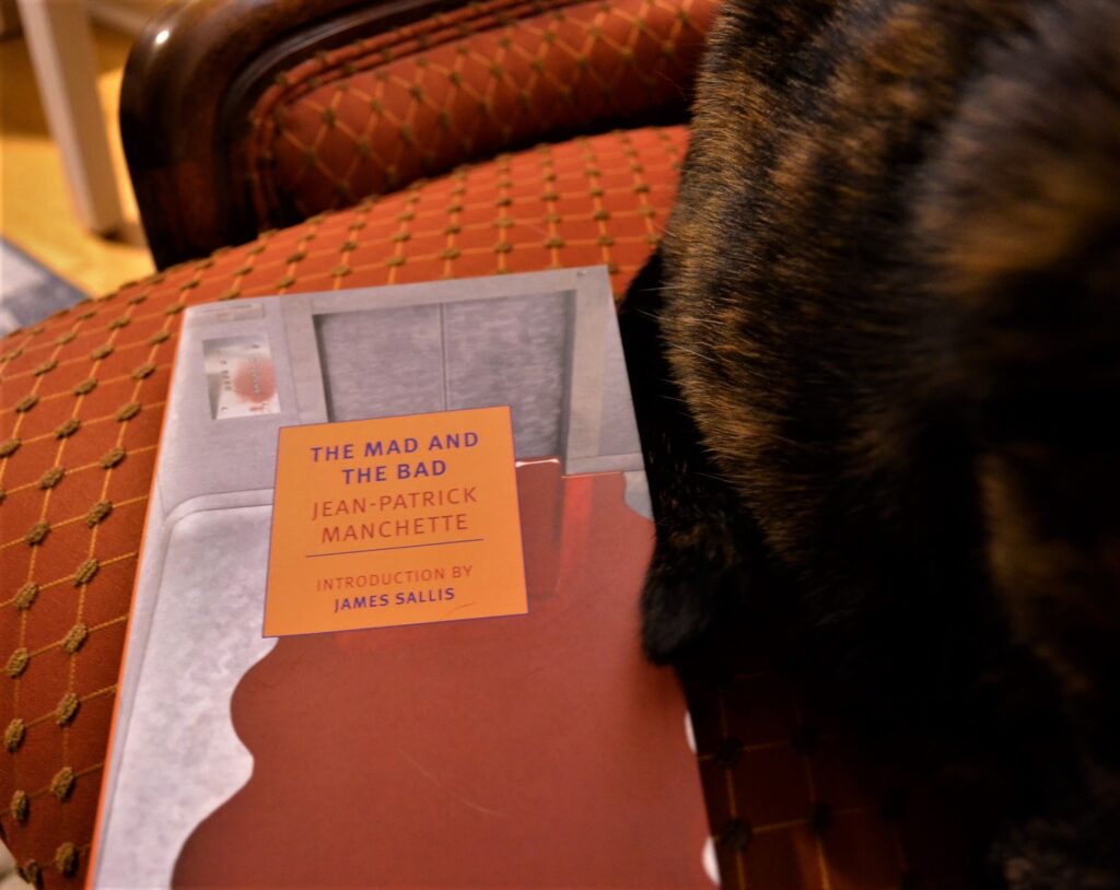 The Mad and the Bad by Jean-Patrick Manchette sits by the paws of a tortoiseshell cat.