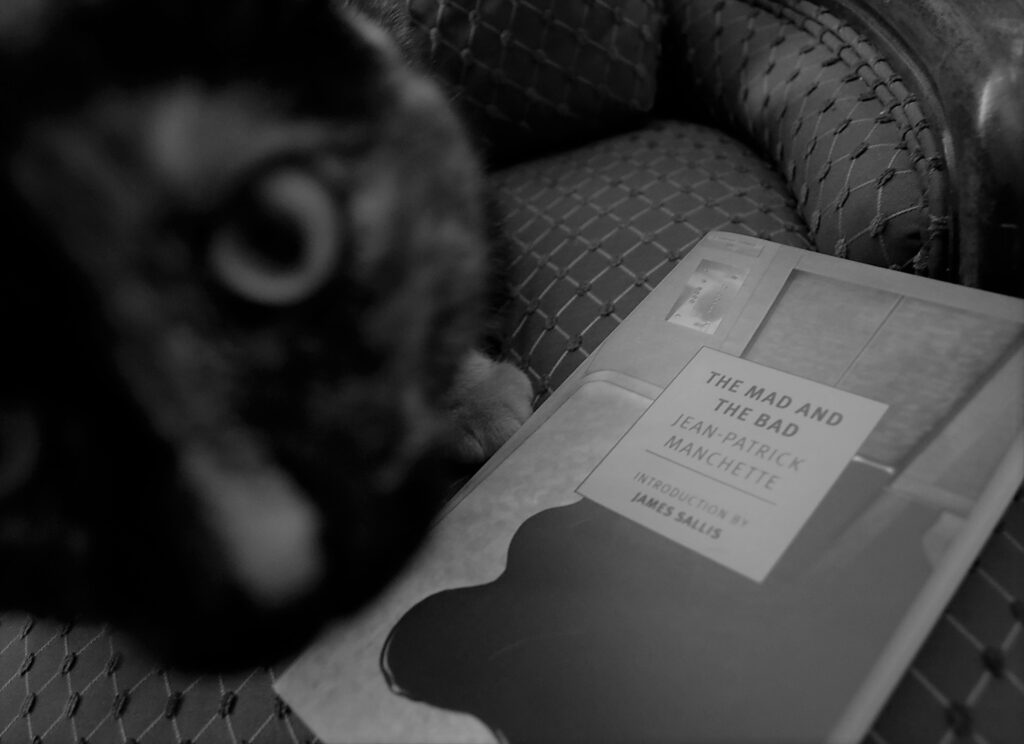 A black-and-white photo of a tortie and a book.