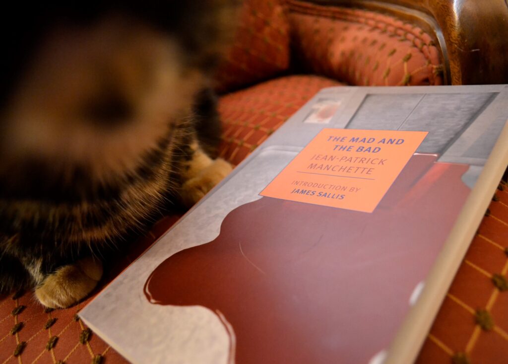 A tortie sniffs at you. Jean-Patrick Manchette's The Mad and the Bad lies by her paws, its cover showing a picture of a pool of blood.