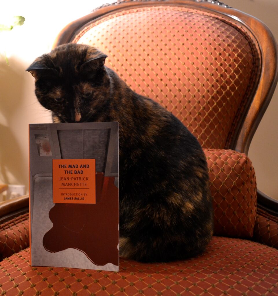 A tortie sniffs a book: The Mad and The Bad by Jean-Patrick Manchette.